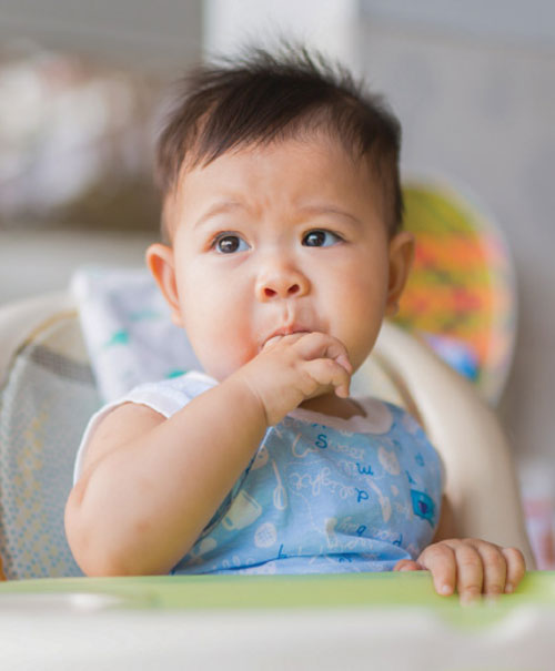 Infant(2 month)