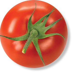 Red tomato with green stem on white background.