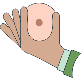Hand holding a breast model for demonstration.
