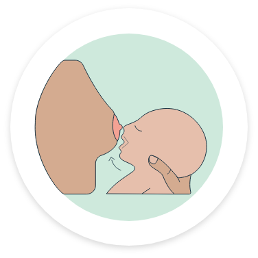 Breastfeeding infant cradled in supportive hand.