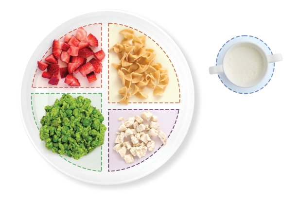 Plate with balanced meal portions, plus a milk cup.