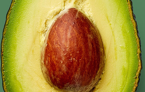 Avocado Seed