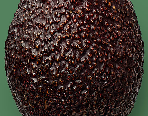 Avocado Skin