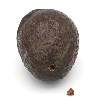 Whole avocado with small stem piece removed.