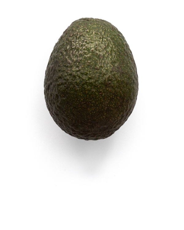 Single ripe avocado on white background.