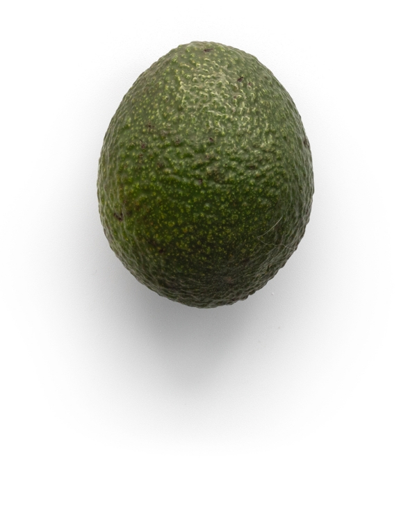 Whole avocado on white background.